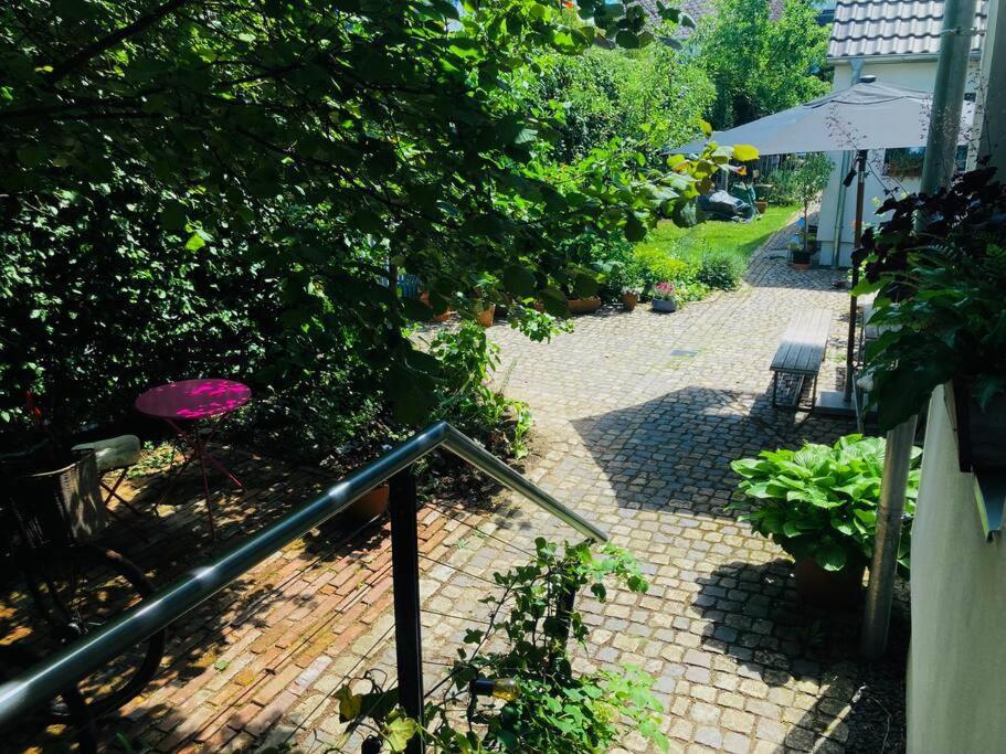 Gute Lage, 3 Raeder, Gruen, Familien Lägenhet Trier Exteriör bild